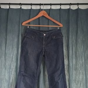 BR Shiny Dressy Jean Trousers